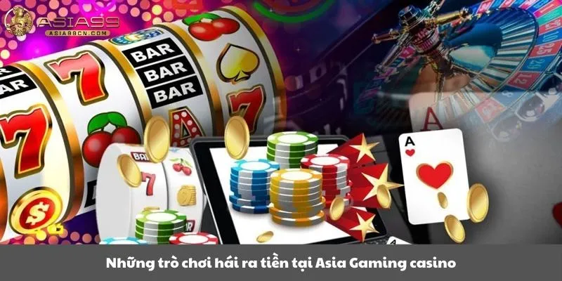 Những trò chơi hái ra tiền tại Asia Gaming casino