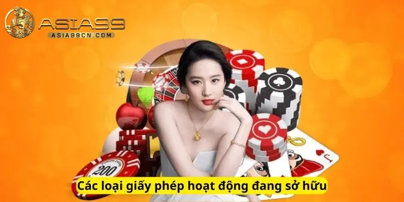Các loại giấy phép hoạt động