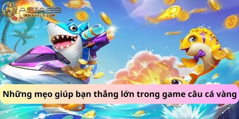 Những mẹo giúp bạn thắng lớn trong game câu cá vàng
